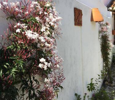 Golega House | 70 m² House ∙ 2 bedrooms ∙ 4 guests
