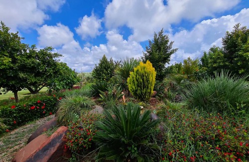 Ourika Cottage | 7000 m² Cabin ∙ 3 bedrooms ∙ 6 guests