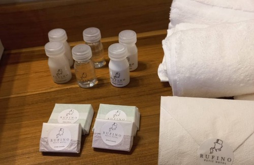 Mendoza City Center Hotel | 718 Rufino Petit Hotel