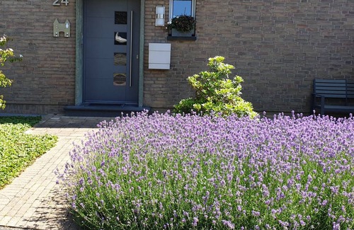 Xanten Apartment | 74 m² Apartment ∙ 1 bedroom ∙ 4 guests