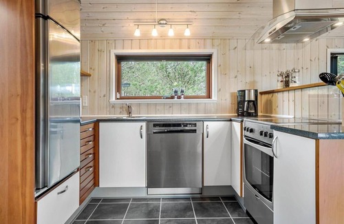 Sønder Vorupør House | 748 Thisted - Blåmunkevej 65