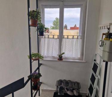 Erzsebetfalva Apartment | 75 m² Apartment ∙ 2 bedrooms ∙ 6 guests