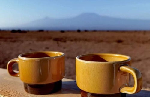 Amboseli Cabin | 75 m² Cabin ∙ 2 bedrooms ∙ 3 guests