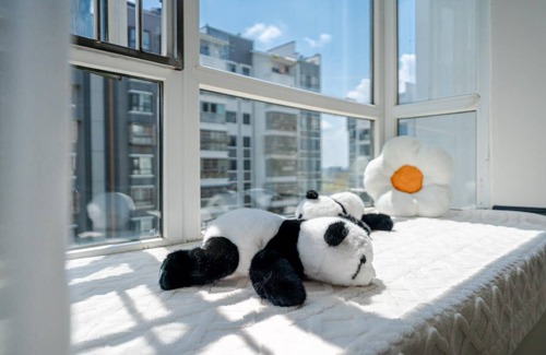 Chenghua Apartment | 76 m² Apartment ∙ 1 bedroom ∙ 4 guests