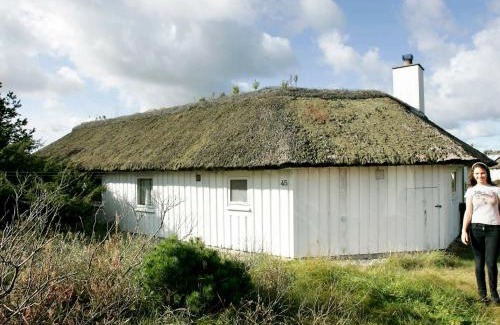 Fjerritslev House | 8 person holiday home in Fjerritslev-By Traum