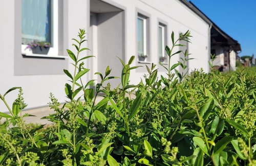 Plate Apartment | 80 m² Apartment ∙ 2 bedrooms ∙ 5 guests