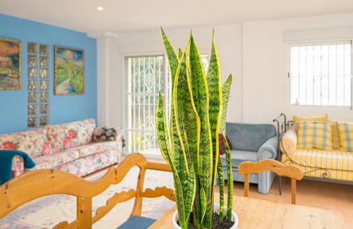 Coveta Fuma Apartment | 80 m² Apartment ∙ 1 bedroom ∙ 4 guests