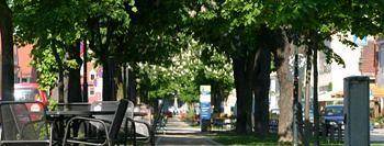 Radebeul Hotel | 80 m² Hotel ∙ 11 guests