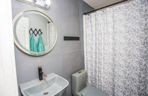 Lubbock Apartment | 806 Oasis at Ave U! 1Bedroom and 1Bath