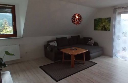 Steinwiesen Apartment | 80sqm holiday paradise in the beautiful Franconian Forest for up to four people