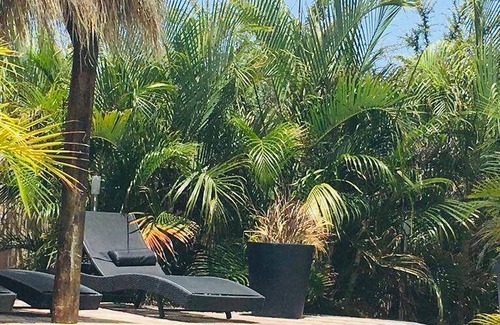 Cas Grandi Apartment | 83 m² Apartment ∙ 2 bedrooms ∙ 6 guests