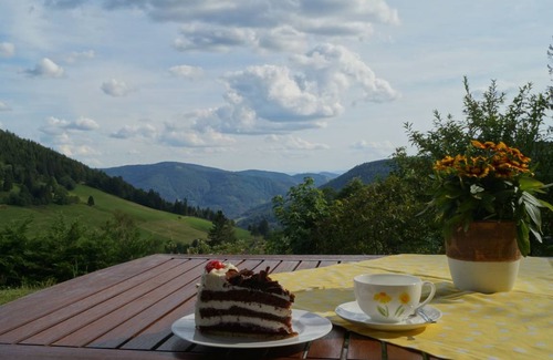 Todtnauberg Apartment | 84 m² Apartment ∙ 3 bedrooms ∙ 3 guests