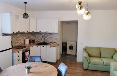 Campulung Moldovenesc Apartment | 84 m² Apartment ∙ 2 bedrooms ∙ 4 guests