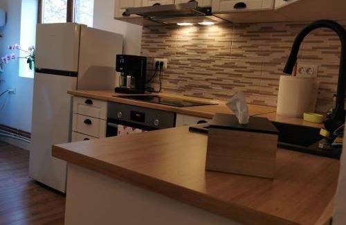Campulung Moldovenesc Apartment | 84 m² Apartment ∙ 2 bedrooms ∙ 4 guests