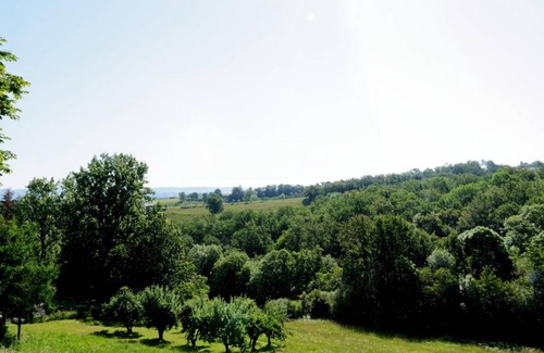 Saint-Cyprien House | 85 m² Gîte ∙ 2 bedrooms ∙ 4 guests