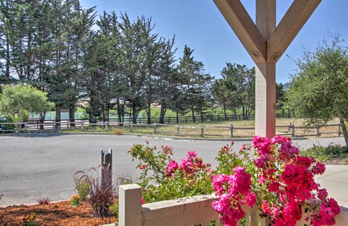 Point Reyes Station House | 85 m² House ∙ 2 bedrooms ∙ 4 guests