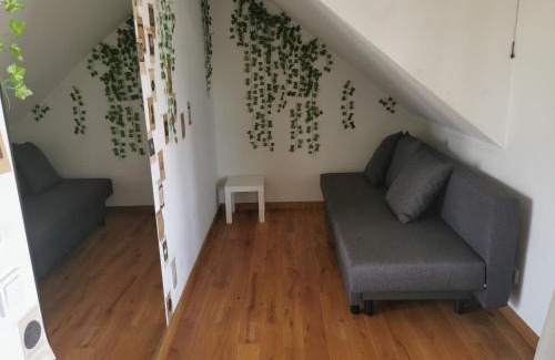 Klaipeda county House | 9 min from Palanga! luxury house on the river and sauna
