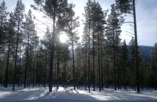 Suomu Other | 90 m² Accommodation ∙ 2 bedrooms ∙ 6 guests