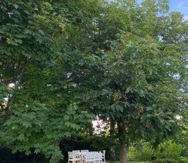Blaye House | 90 m² House ∙ 2 bedrooms ∙ 6 guests