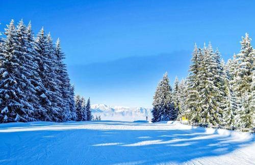Oberau Wildschonau Apartment | 95 m² Apartment ∙ 3 bedrooms ∙ 7 guests