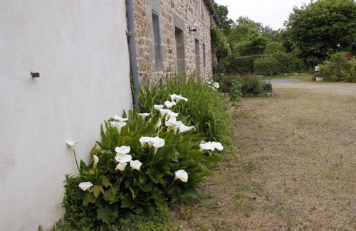 Saint-Donan House | 95 m² Gîte ∙ 2 bedrooms ∙ 4 guests