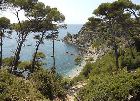 Le Brusc Apartment | A 500 mètres des plages et du port du brusc, Les terrasses des embiez avec piscine et spa