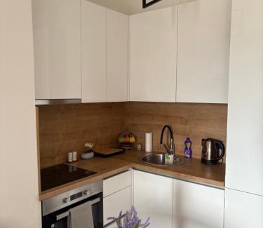 Ilidza Apartment | A&A Apartment