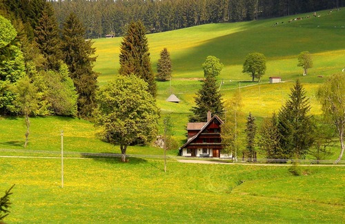 Schollach Condo | A Black Forest vacation in pure nature.