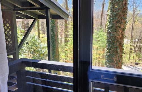 Lake Toxaway Cabin | A BUNGALOW VERY QUIET CABIN IN THE B R MOUNTAINS HOT TUB ,SUANA 4/20 HOOKAH n