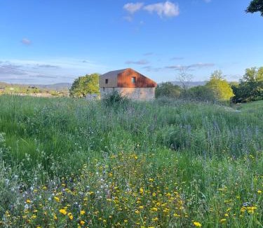 Maceira House | A casa de Foratoxo