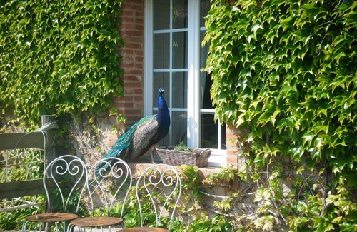 Cholet Apartment | A charming property 30 pers. countryside swimming pool horses pond forest in Cholet !