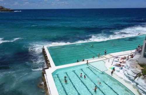 Bondi Beach Apartment | A Chic Beach Studio, 5min stroll to Bondi Beach