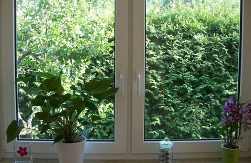 Strehlen House | A comfortable house for you alone - quiet location and great infrastructure