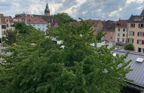 Cronenbourg Est Apartment | A country look in the city