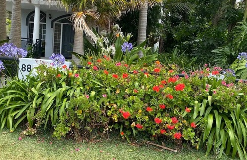 Callala Bay Apartment | A Cozy Room 3 minutes walk to Callala Bay beach.