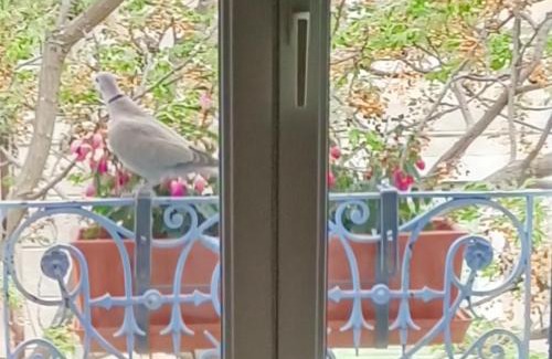 Aramon House | A deux pas d'Avignon