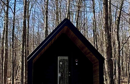 Wellsboro Cabin | A-frame 1 Summary: We