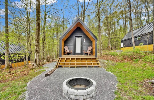 Wellsboro Cabin | A-frame 1 Summary: We