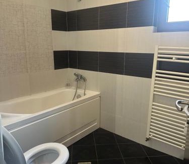 Iasi Apartment | A G Studio Palas 4