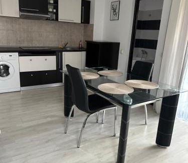 Iasi Apartment | A G Studio Palas 4