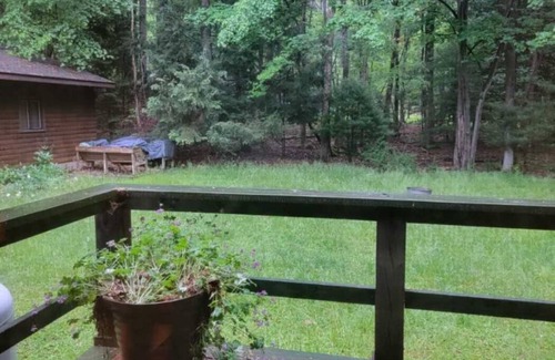 Jonas Cabin | A gem in the woods!