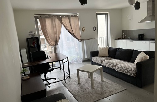 Begijnhof's Wijk Apartment | A great apartment for special experiencesn1bed apartment in heart of Brussels.