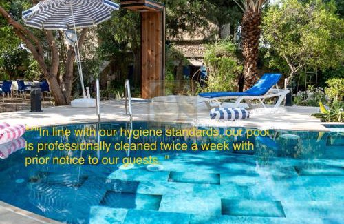 Politiko Villa | A historic STONE VILLA with private garden, terrace and private pool just for you