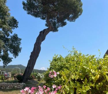 Bagnols-sur-Ceze Apartment | A l Aube du Midi