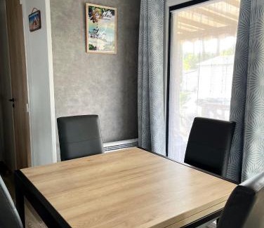 Saint-Julien-en-Born Other | A l ombre des pins 40 Mobil home 211