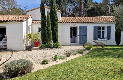Saint-Augustin Bed & Breakfast | A l'ombre des pins