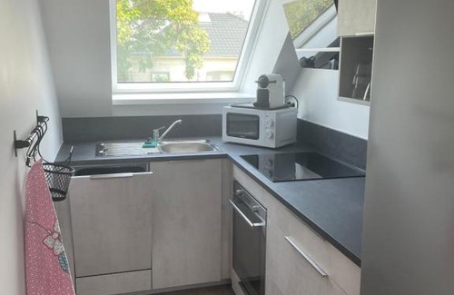 Horbourg-Wihr Apartment | A l'ombre du figuier
