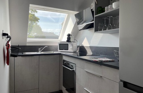 Horbourg-Wihr Apartment | A l'ombre du figuier