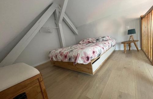 Horbourg-Wihr Apartment | A l'ombre du figuier