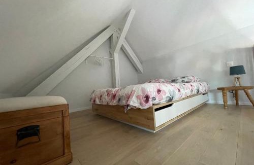 Horbourg-Wihr Apartment | A l'ombre du figuier